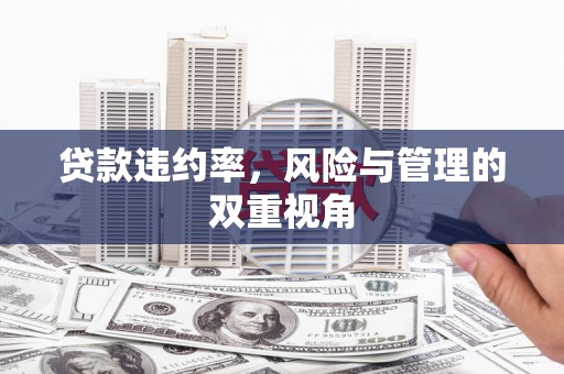 五桂山贷款违约率，风险与管理的双重视角