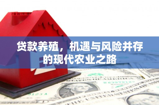五桂山贷款养殖，机遇与风险并存的现代农业之路