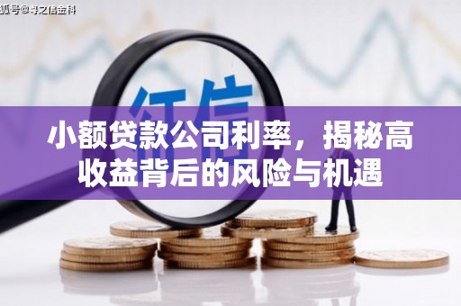 五桂山小额贷款公司利率，揭秘高收益背后的风险与机遇