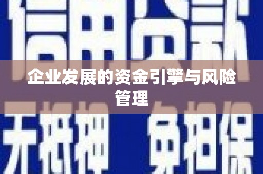 五桂山企业发展的资金引擎与风险管理