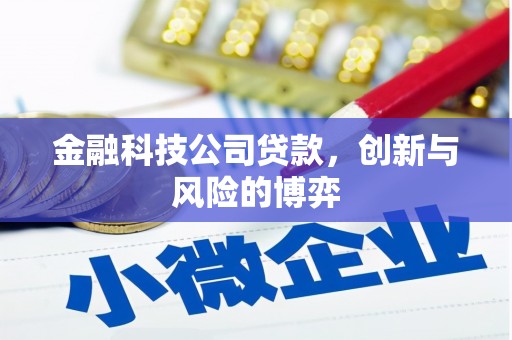 五桂山金融科技公司贷款，创新与风险的博弈