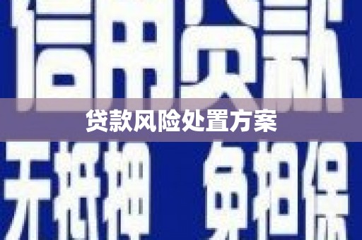 五桂山贷款风险处置方案
