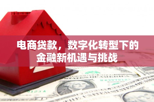 五桂山电商贷款，数字化转型下的金融新机遇与挑战