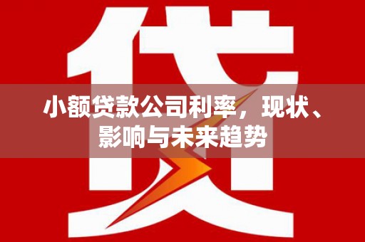 五桂山小额贷款公司利率，现状、影响与未来趋势