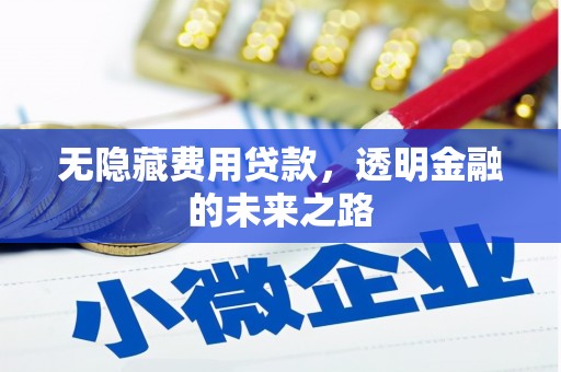 五桂山无隐藏费用贷款，透明金融的未来之路