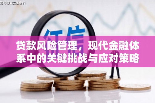 五桂山贷款风险管理，现代金融体系中的关键挑战与应对策略