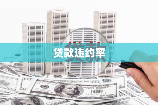 五桂山贷款违约率