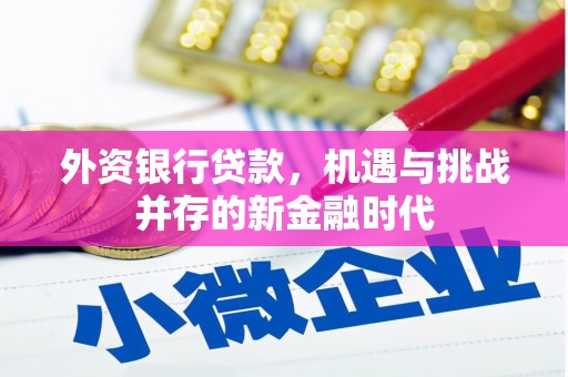 五桂山外资银行贷款，机遇与挑战并存的新金融时代