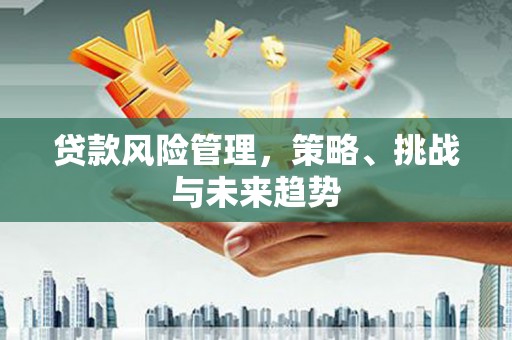 五桂山贷款风险管理，策略、挑战与未来趋势