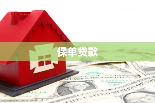 五桂山保单贷款