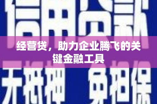 五桂山经营贷，助力企业腾飞的关键金融工具