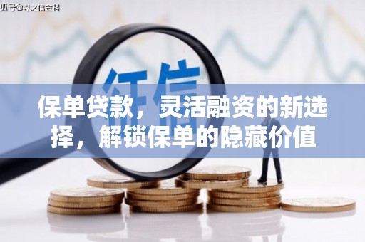 五桂山保单贷款，灵活融资的新选择，解锁保单的隐藏价值