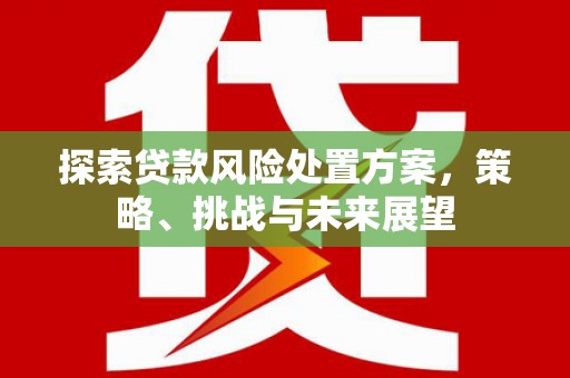 五桂山探索贷款风险处置方案，策略、挑战与未来展望
