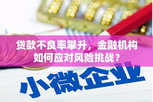 五桂山贷款不良率攀升，金融机构如何应对风险挑战？