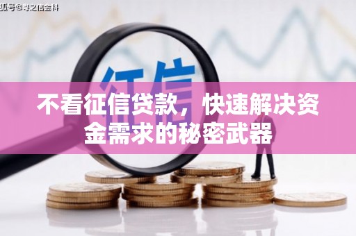 五桂山不看征信贷款，快速解决资金需求的秘密武器