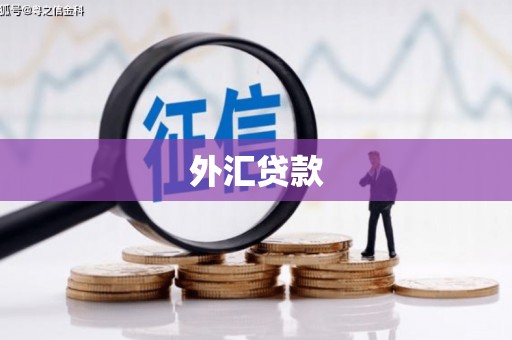 五桂山外汇贷款
