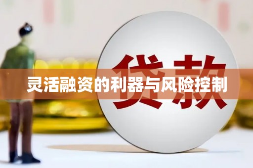 五桂山灵活融资的利器与风险控制