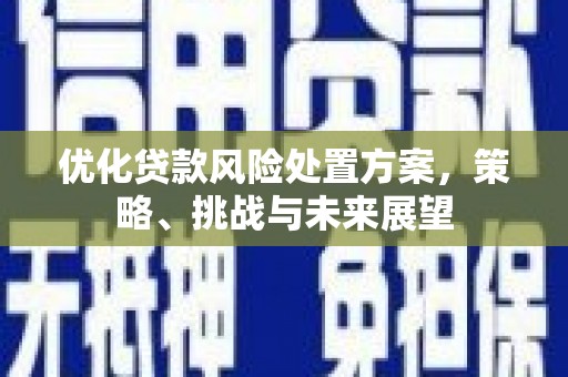 五桂山优化贷款风险处置方案，策略、挑战与未来展望