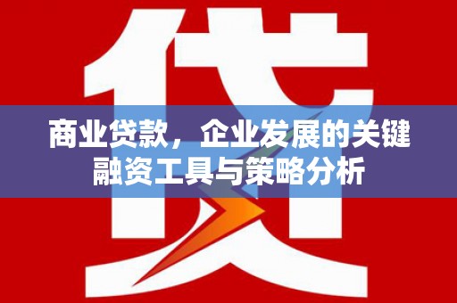 五桂山商业贷款，企业发展的关键融资工具与策略分析