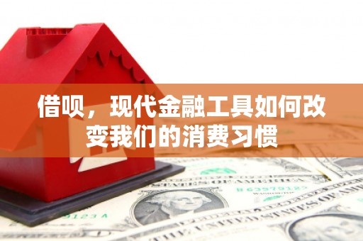 五桂山借呗，现代金融工具如何改变我们的消费习惯