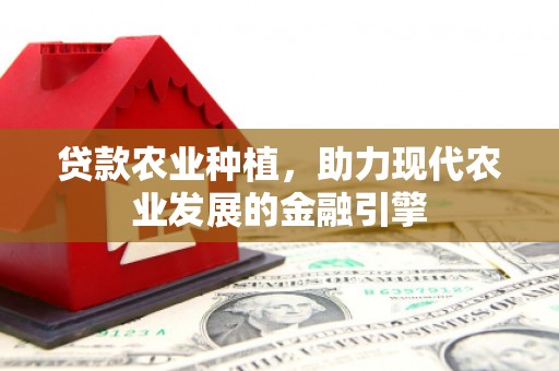 五桂山贷款农业种植，助力现代农业发展的金融引擎