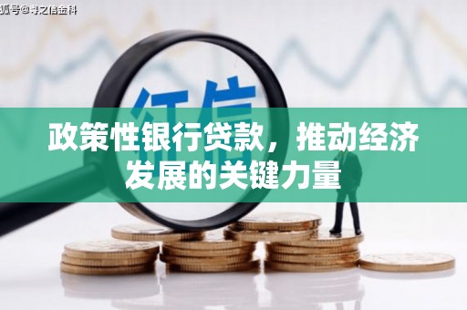 五桂山政策性银行贷款，推动经济发展的关键力量