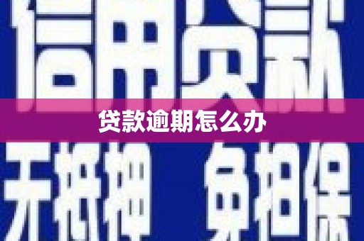 五桂山贷款逾期怎么办