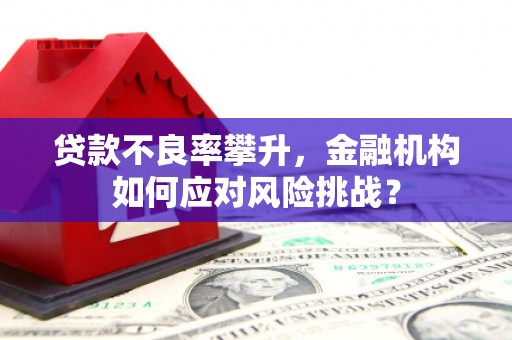 五桂山贷款不良率攀升，金融机构如何应对风险挑战？