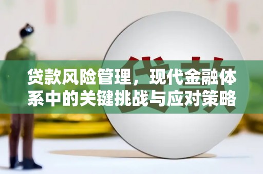 五桂山贷款风险管理，现代金融体系中的关键挑战与应对策略