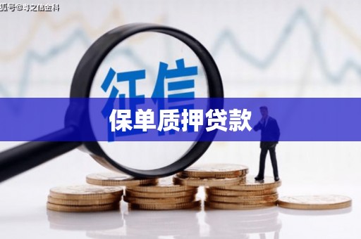五桂山保单质押贷款