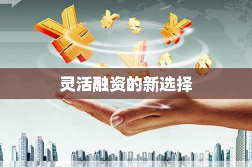 五桂山灵活融资的新选择