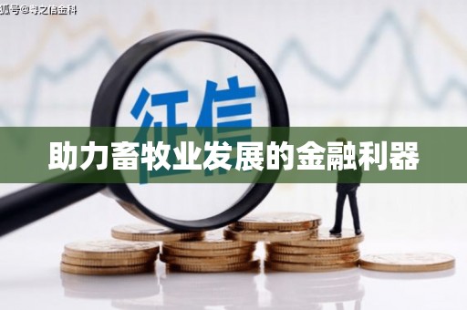 五桂山助力畜牧业发展的金融利器