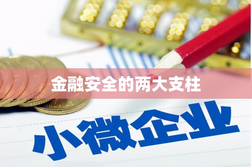 五桂山金融安全的两大支柱