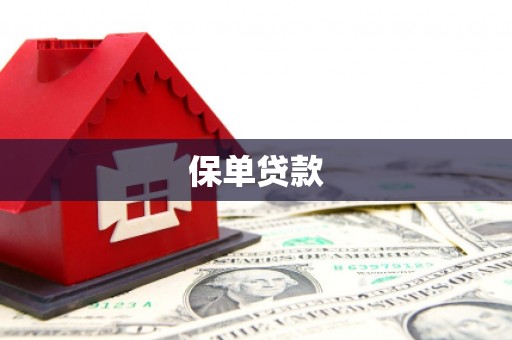 五桂山保单贷款